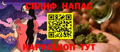 крисы Жуковский