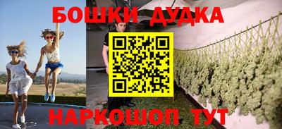 крисы Заводоуковск