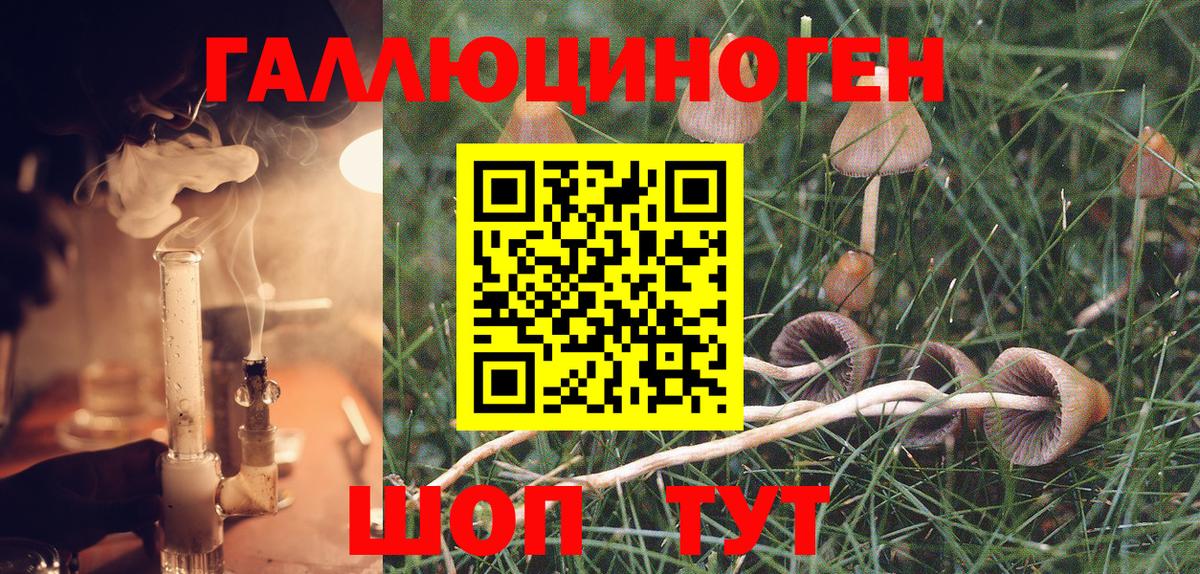 где найти   Псилоцибиновые грибы MAGIC MUSHROOMS  Вход с VPN  Михайловск  Галлюциногенные грибы MAGIC MUSHROOMS 