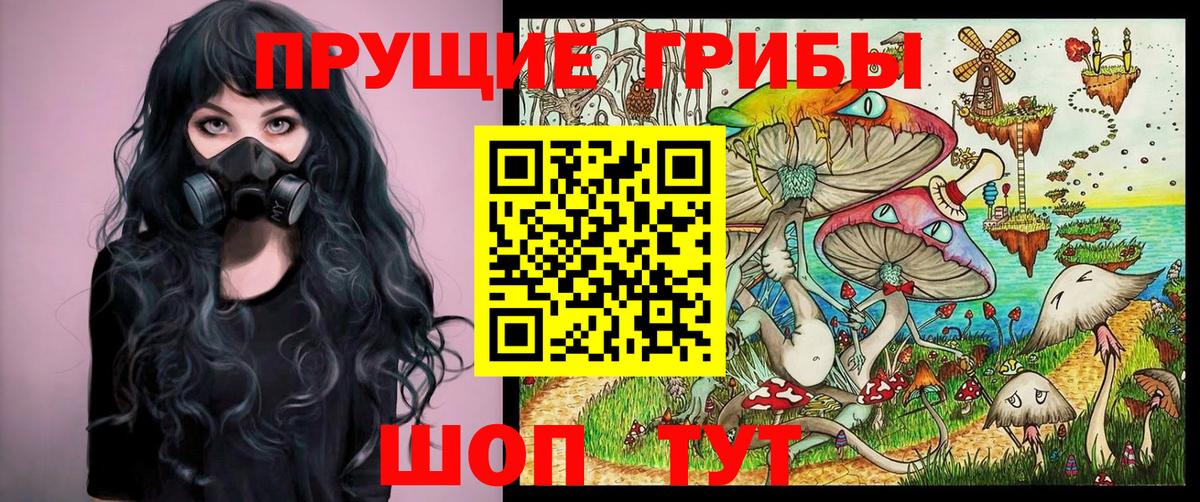 Галлюциногенные грибы прущие грибы Михайловск